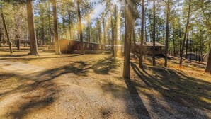 A forested area with cabins and a dirt path. - Horseshoe Canyon | Cozy 3BR Cabin • Pet Friendly (Ruidoso)