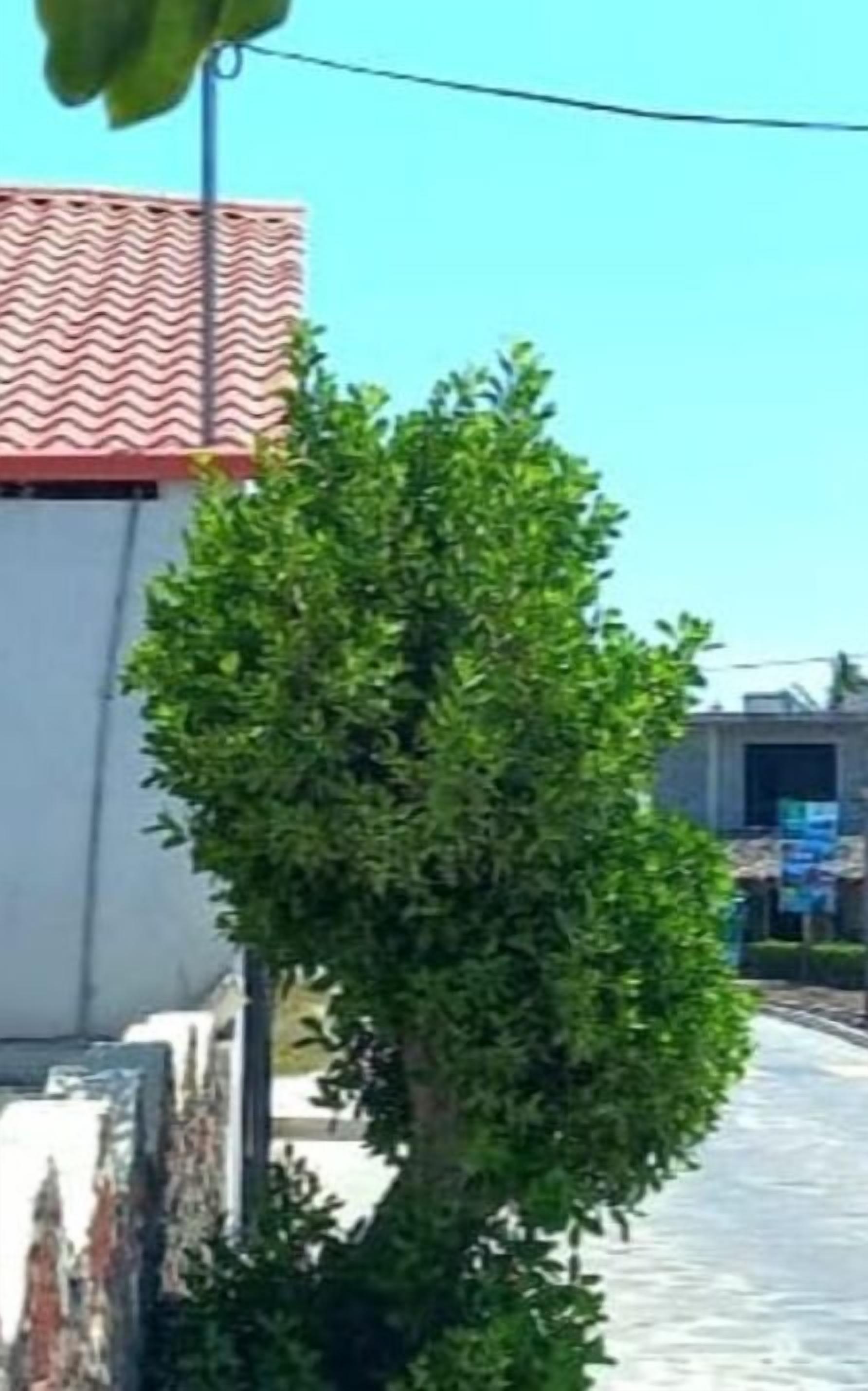 Fachada de la propiedad