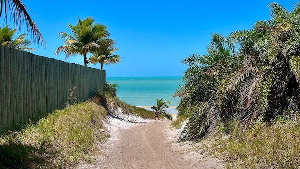A sandy beach path with a wooden fence on one side and dense foliage on the other, leading to a clear blue sky and ocean. - Casa da Mata Corumbau (Prado)