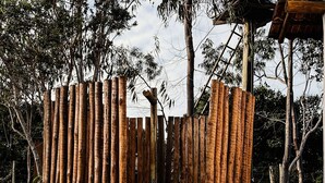 A wooden pathway leading through a bamboo fence into a natural setting. - Casa da Mata Corumbau (Prado)