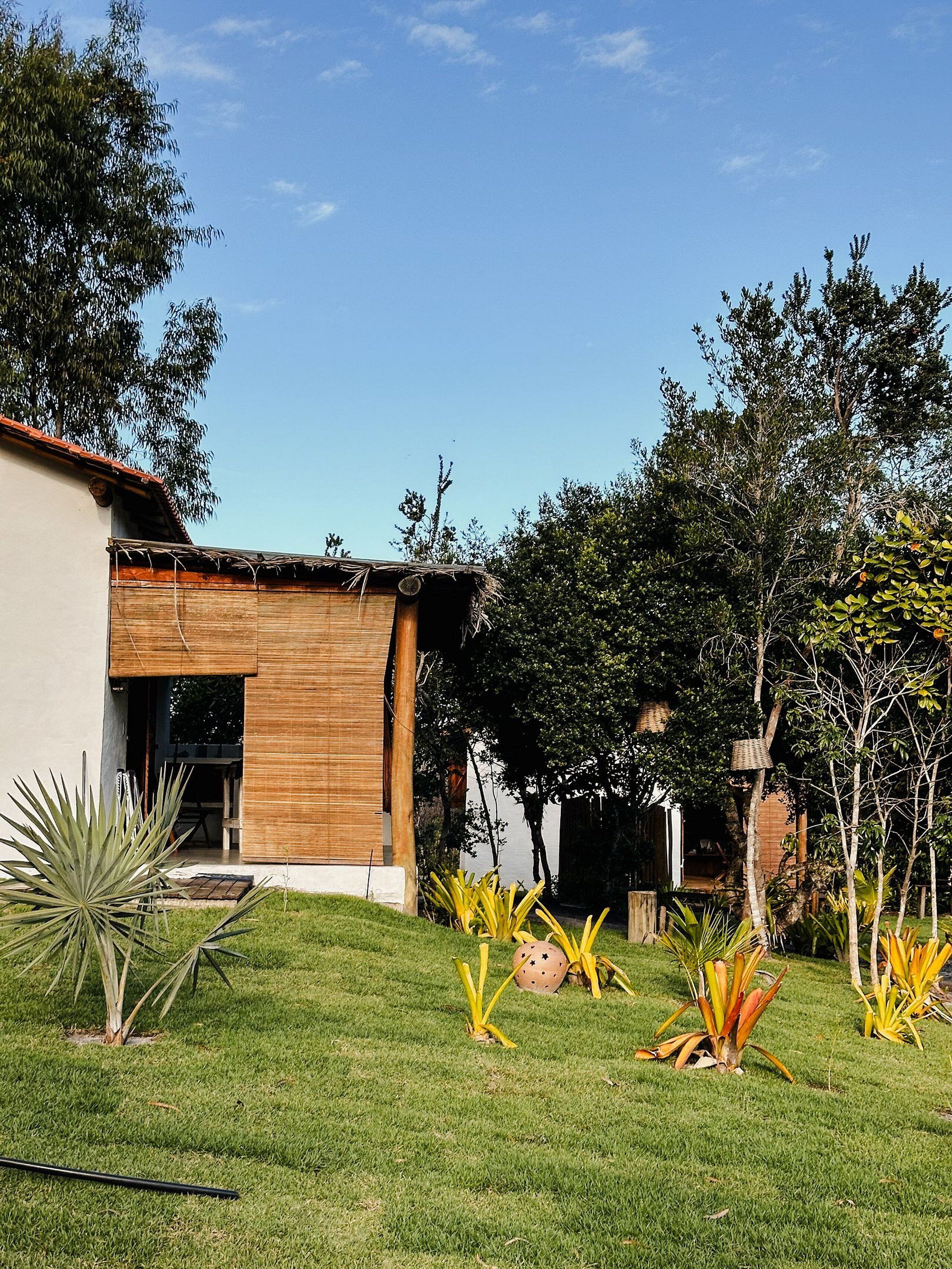 A modern house with a wooden facade, a well-maintained lawn, and tropical plants.