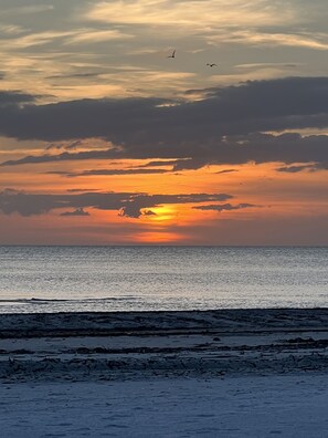Sun-loungers, beach towels