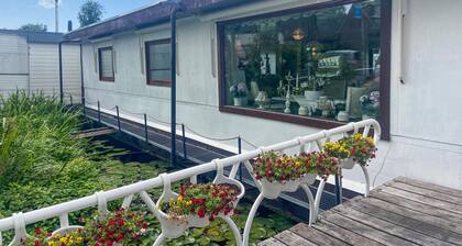 Amazing ship in Rotterdam with WiFi