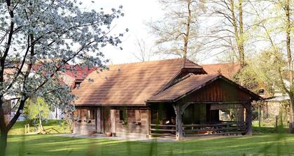 Cozy cottage in countryside near lake and lots of nature