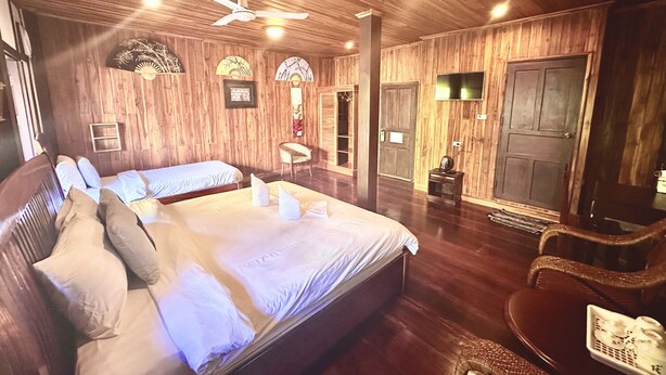 A wooden-paneled room with a large bed, a chair, a TV, and a door.