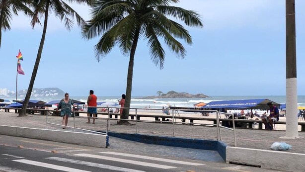 Una carretera frente a la playa con palmeras, un paso de cebra y sombrillas de playa.