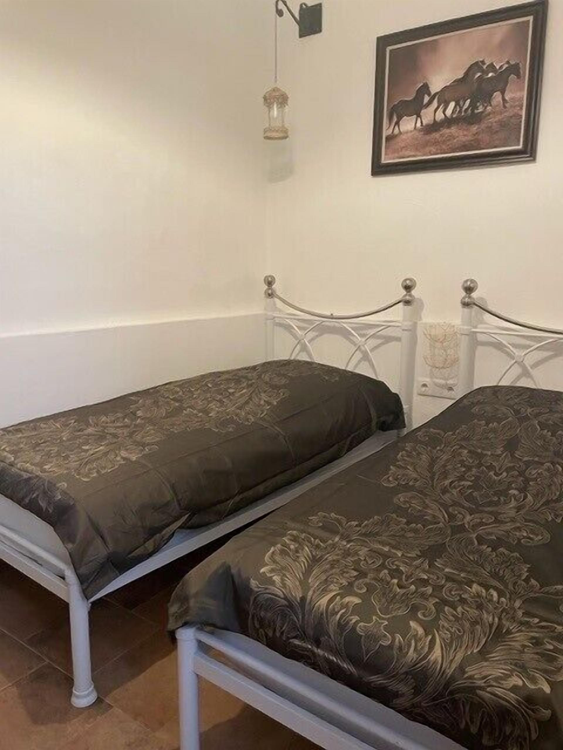 Two twin beds with metal frames and dark patterned bedding in a room with plain walls and a framed picture of horses.
