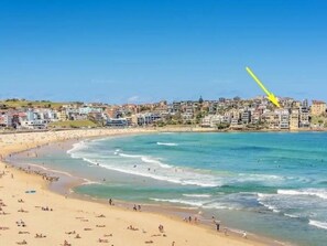 Beach - Luxury Beachfront Apartment (Bondi Beach)