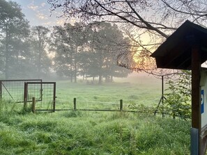 Overnatningsstedets område