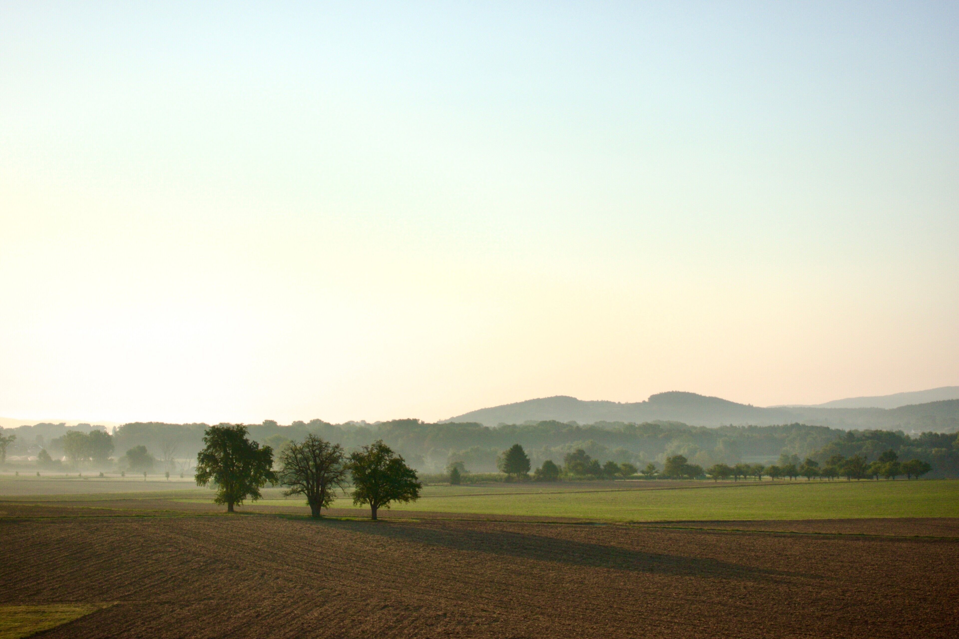 Paesaggio rurale con campi e alberi.