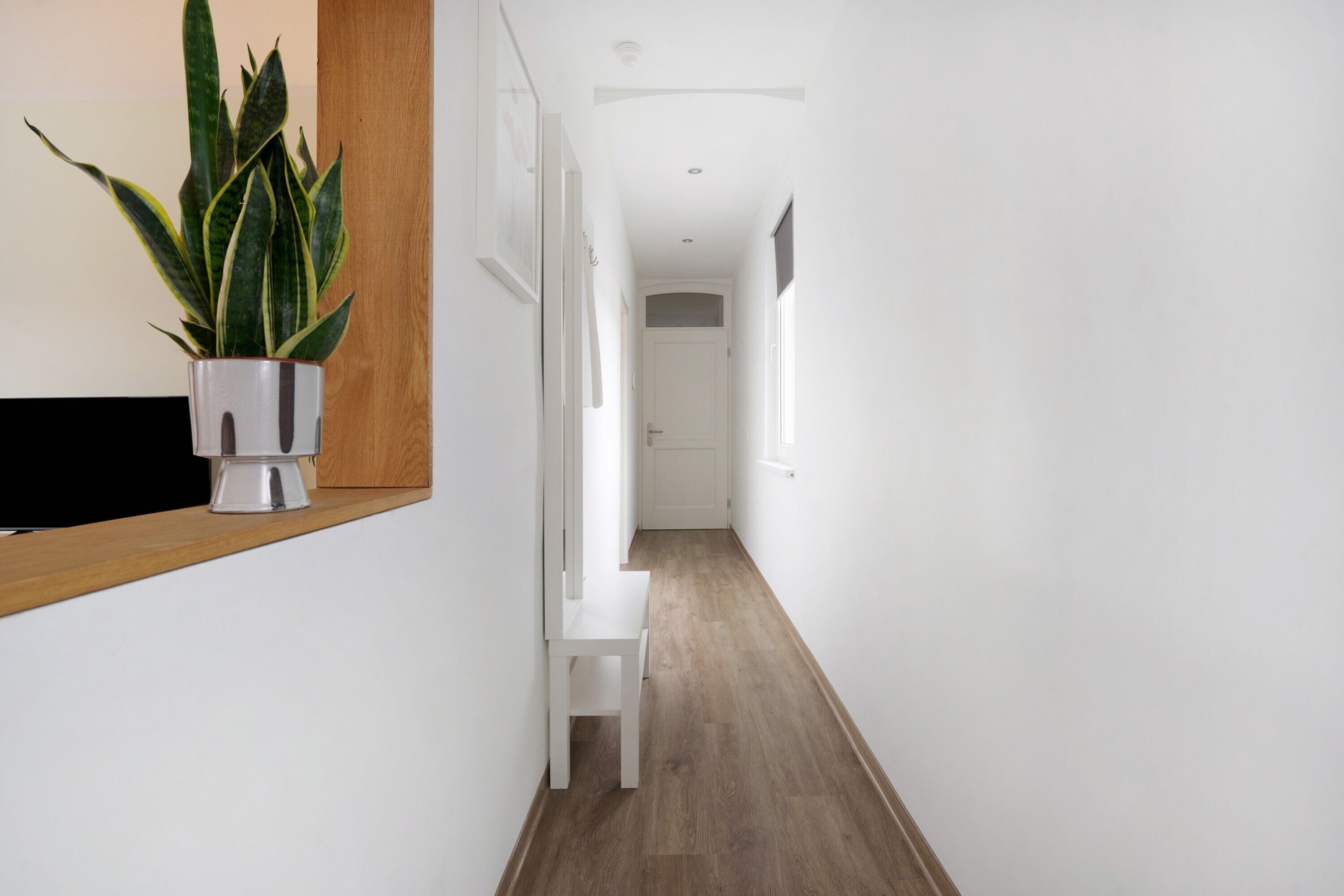 A narrow hallway with a white bench, a potted plant, and a door at the end.