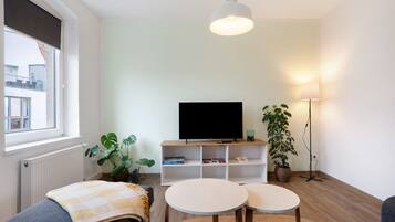 Fernseher