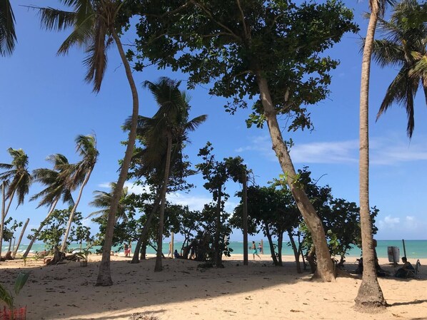 Playa