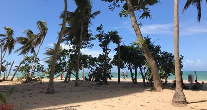 STEPS FROM BEACH! Trendy Calle Loiza and Ocean Park Beach Condo in San Juan