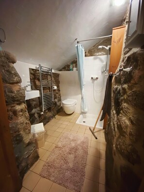 Shower - Idyllic Dartmoor Cottage (Postbridge)