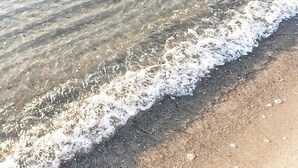 Une plage de sable fin, avec une eau claire et peu profonde, et de douces vagues.