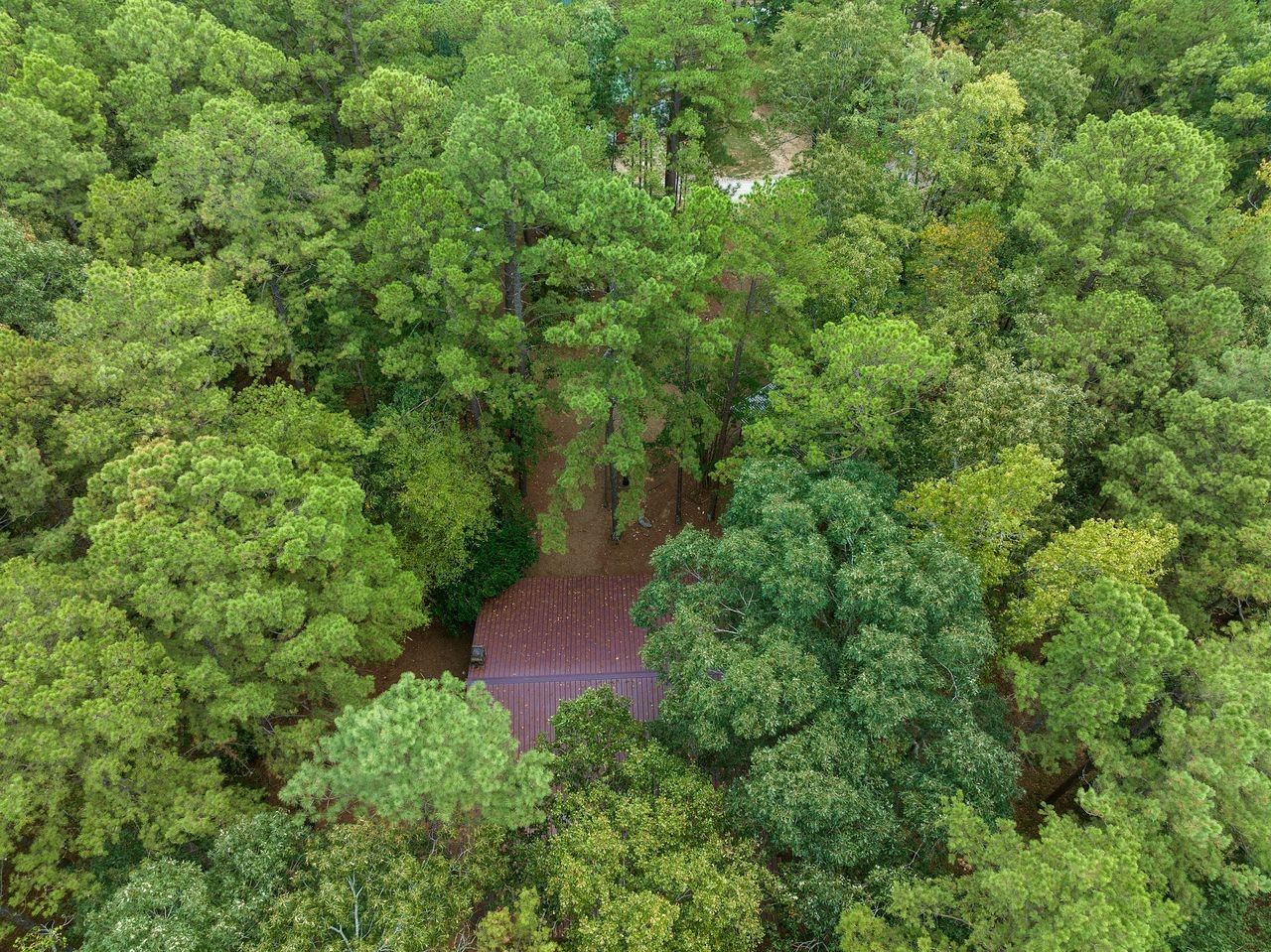 An aerial view of a forested area with a clear path leading to a building.