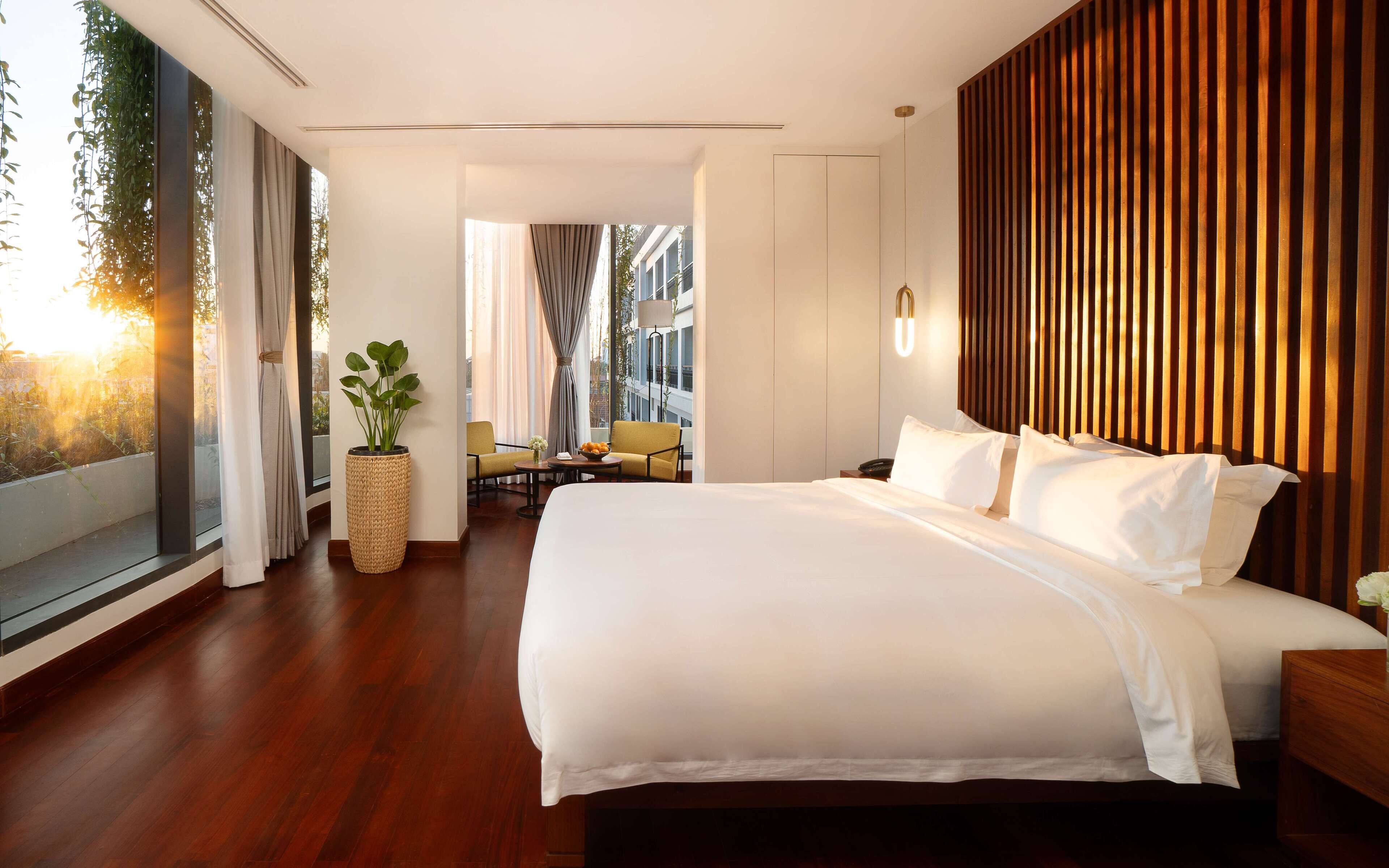 A modern hotel room with a large bed, a potted plant, a small table with a bowl of fruit, and a view of the city through large windows.