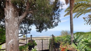 Une vue sur la côte, avec un mur de pierre, des plantes en pot et un portail en métal.
