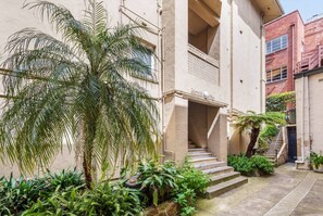 Un patio con una palmera, escalones que llevan a la entrada de un edificio y una escalera.