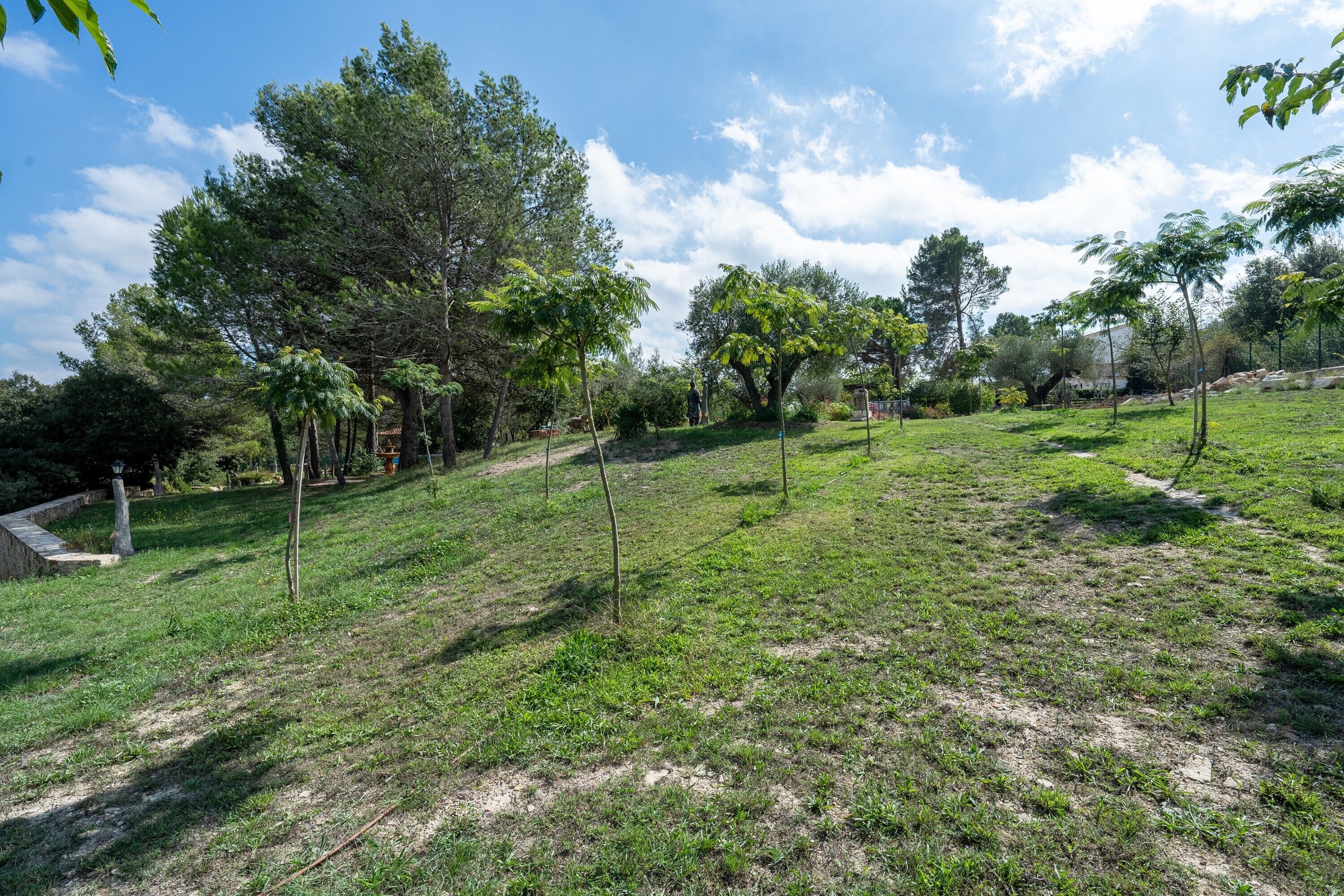 A grassy outdoor area with trees and a clear sky.
