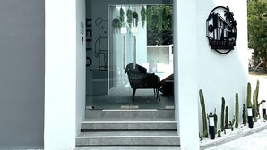 Ingresso di un edificio moderno con porta in vetro, una sedia all'interno e una composizione di cactus all'esterno.