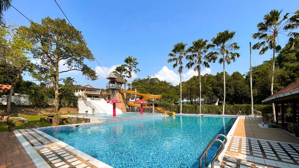 Une piscine avec un toboggan, entourée de palmiers et agrémentée d’une petite structure en forme de tour.