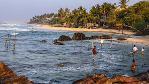 A beach with palm trees and rocky outcrops. - Naomi Beach Resort (Weligama)