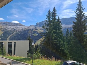 Summer view