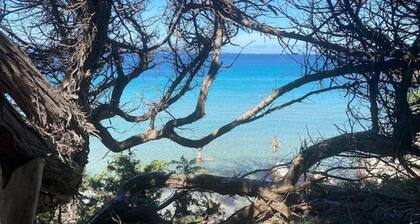 2 Bedroom Villa in Calasetta