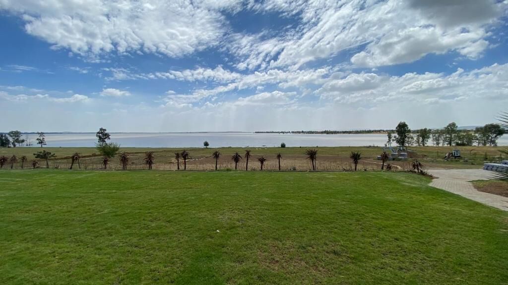 Un campo cubierto de hierba con un sendero que conduce a un cuerpo de agua, palmeras y un cielo despejado.