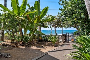 Property grounds - Kona Islander Hawaiian Style Poolside (Kailua-Kona)