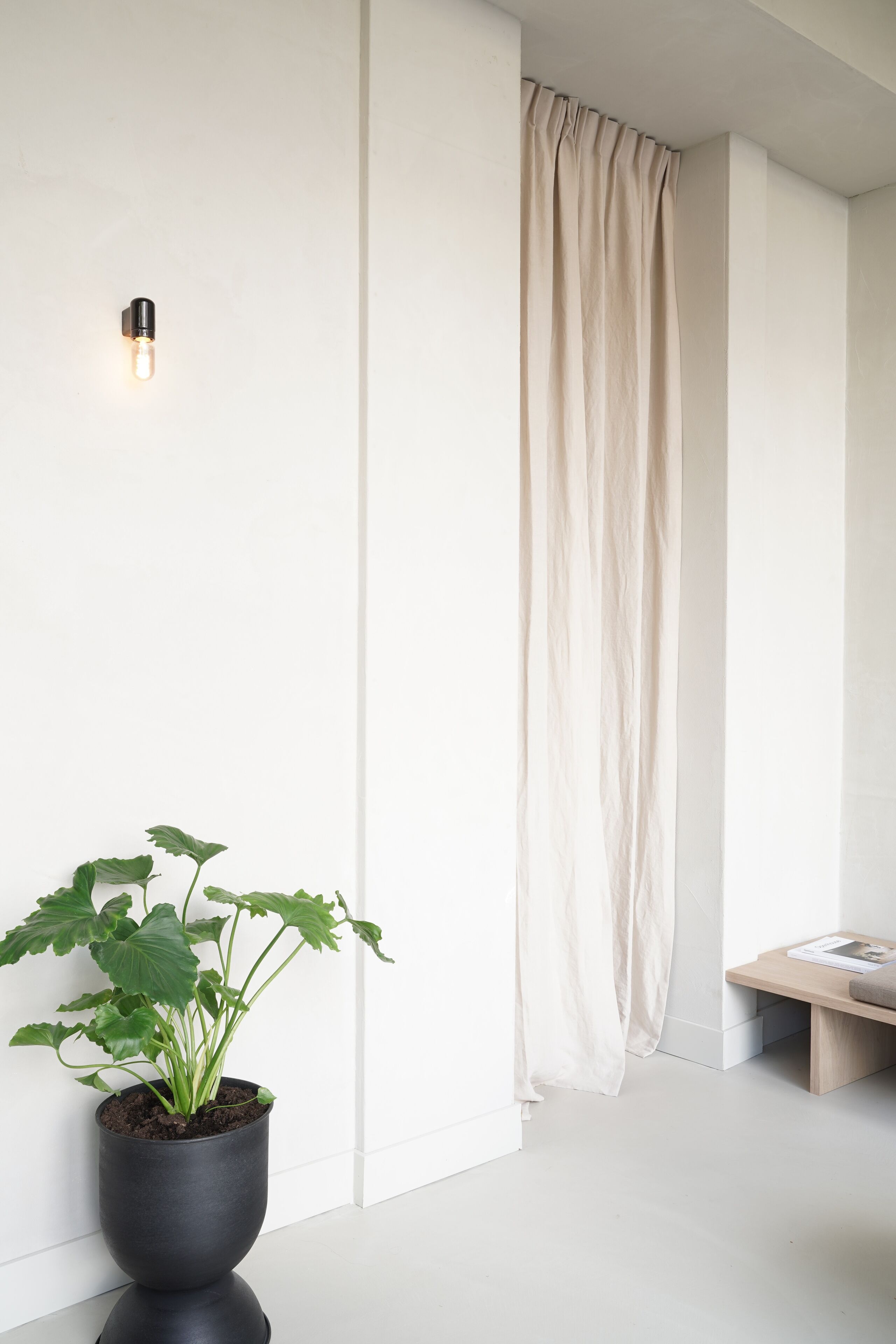 Ett minimalistiskt rum med en krukväxt, en lampa och en gardin.