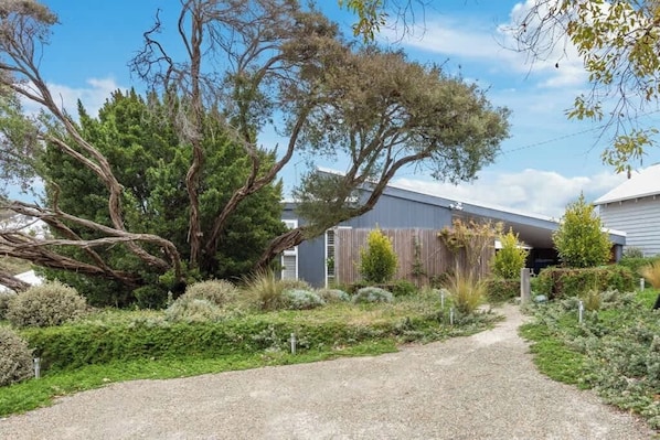 A gravel driveway leading to a house with a fenced yard and a large tree.