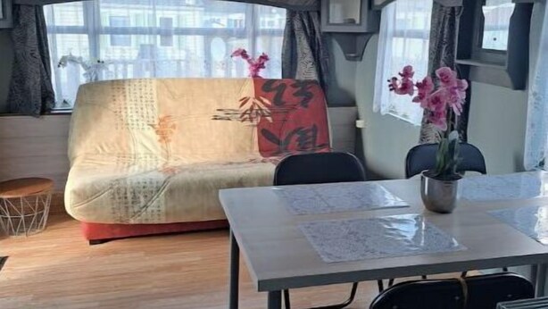 Un salon moderne avec un canapé, une table à manger, des chaises et une plante en pot.