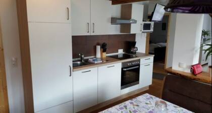 Meissnitzerhof Nix für Schwache Nerven