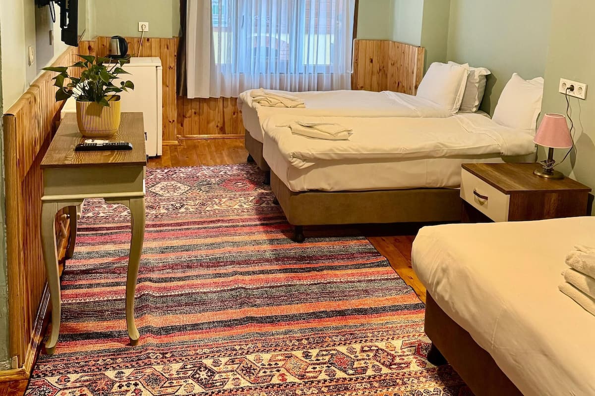A hotel room with a bed, a desk, a chair, a potted plant, a window with curtains, and a patterned rug.