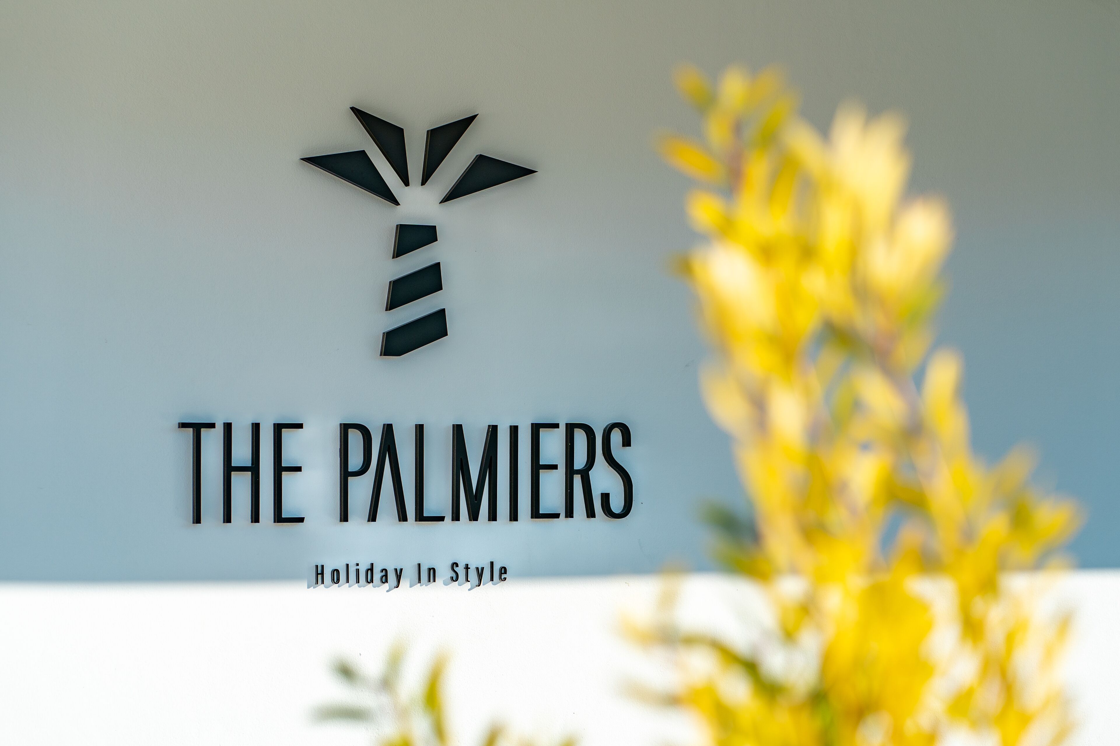 Foto - The Palmiers