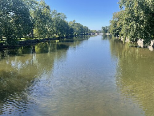 At the River Royal City Park. Trails, market downtown & U of G. Older home.