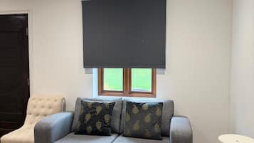 A living room with a grey sofa, two patterned cushions, a black screen, and a wooden floor.