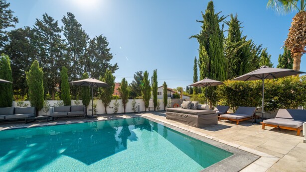 A rectangular swimming pool with clear blue water, surrounded by lounge chairs and umbrellas, and tall trees in the background. - Silver Park by Deserve (Paphos)