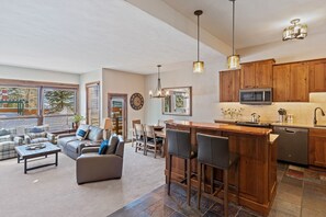 Interior - Walk across the street to the ski slopes, Walk to Restaurants, Private Shuttle (Steamboat Springs)