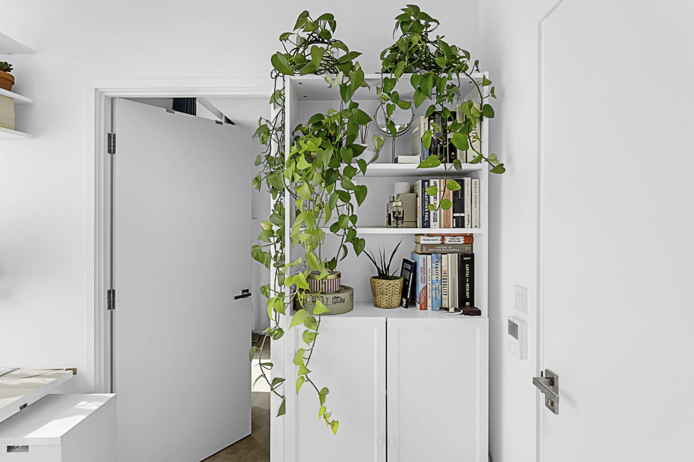 Basic Apartment, 1 King Bed | Interior