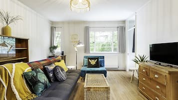 Basic Apartment, 1 Double Bed with Sofa bed | Living area | TV