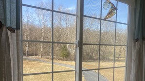 A room with a large window featuring a stained glass owl design, a view of a rural landscape with trees and a road, and a wooden floor. - New build OWL HOUSE, quiet, near trails, stargazing! (Landisburg)