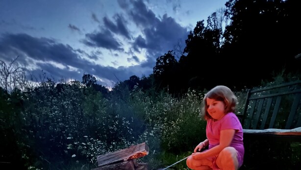 A person sitting by a fire pit in a garden at dusk. - New build OWL HOUSE, quiet, near trails, stargazing! (Landisburg)