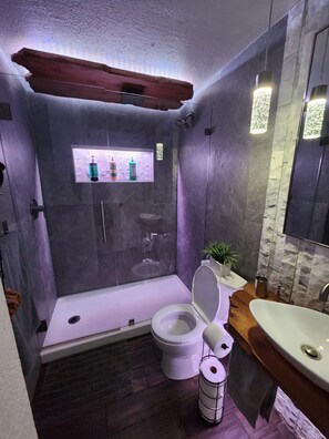 Shower, hair dryer, towels, soap