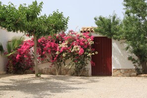 Exterior - Finca La Jaquima, de Estilo Cortijo Andaluz (Avileses, Murcia, Spain)