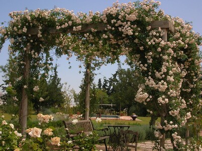 Finca La Jaquima, de Estilo Cortijo Andaluz