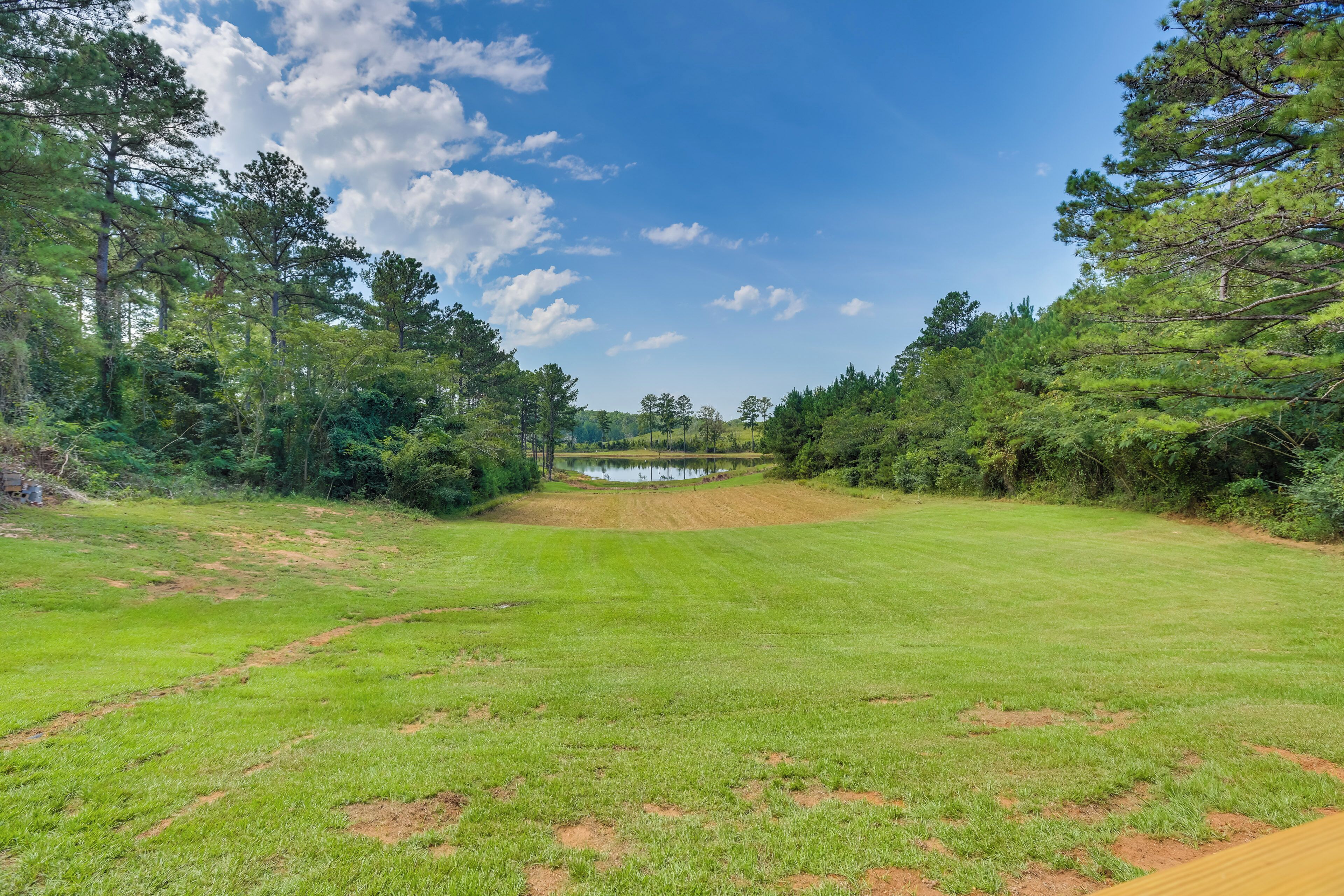 A grassy field with a pond, surrounded by trees and a clear sky.